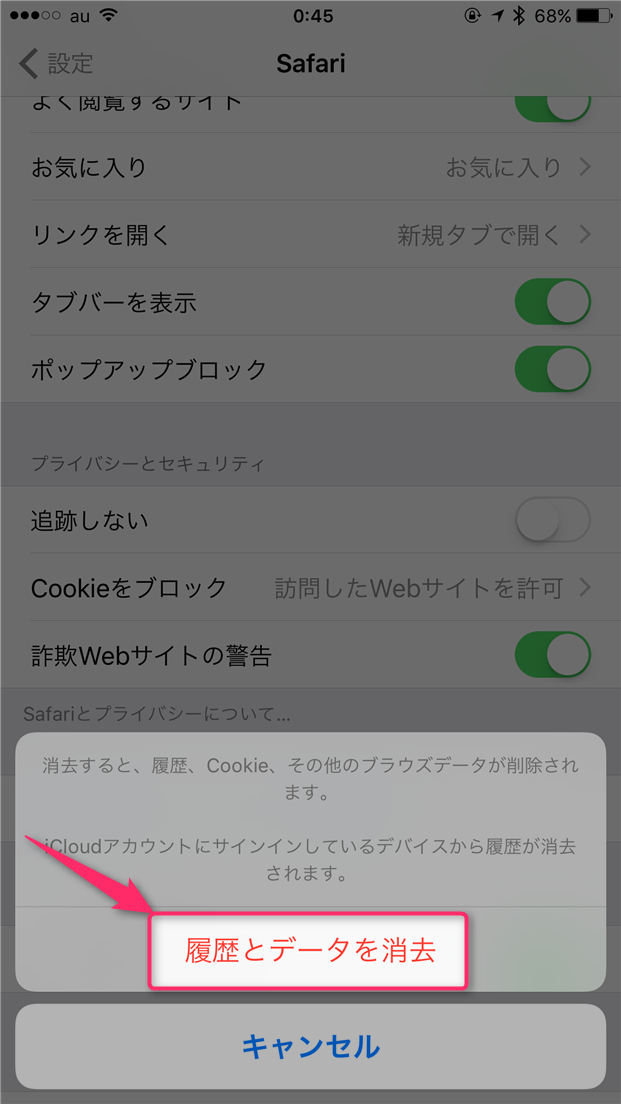 pokemon-go-can-not-download-app-tap-delete-safari-history-confirm